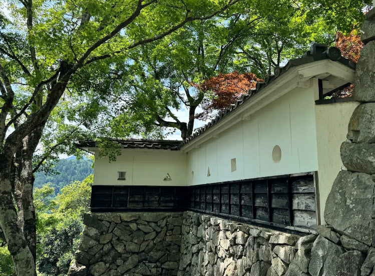 Gujo Hachiman Castle, Japan